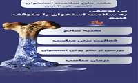 «بی‌توجهی به سلامت استخوان را متوقف کنیم»