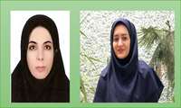 کسب رتبه نخست استانی توسط کارشناسان معاونت بهداشت در آزمون دستورالعمل پزشک خانواده و نظام ارجاع 