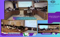 برگزاری دور دوم کارگاه آموزشی قوانین و دستورالعمل های کدگذاری ICD-11  (برنامه ثبت و طبقه بندی علت مرگ)