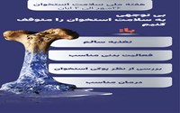 «بی‌توجهی به سلامت استخوان را متوقف کنیم»